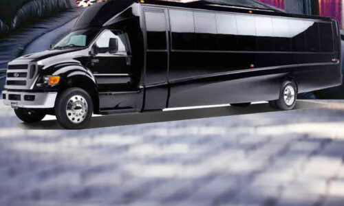 Platinum Luxury Party Bus