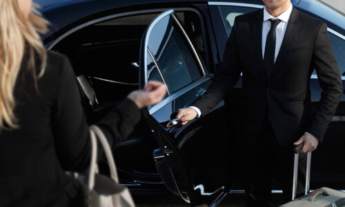 TPS LUX TRANSPORTATION PRECISION SERVICES